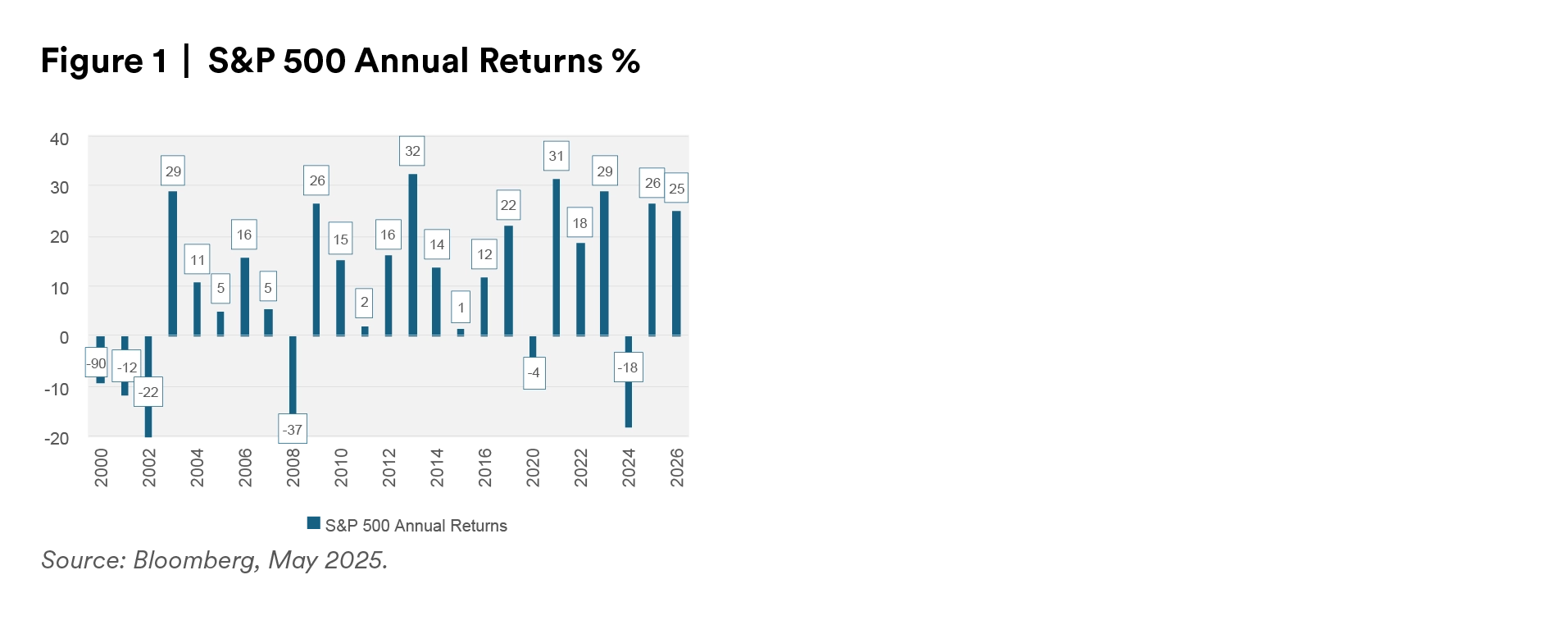 S&P Annual Returns